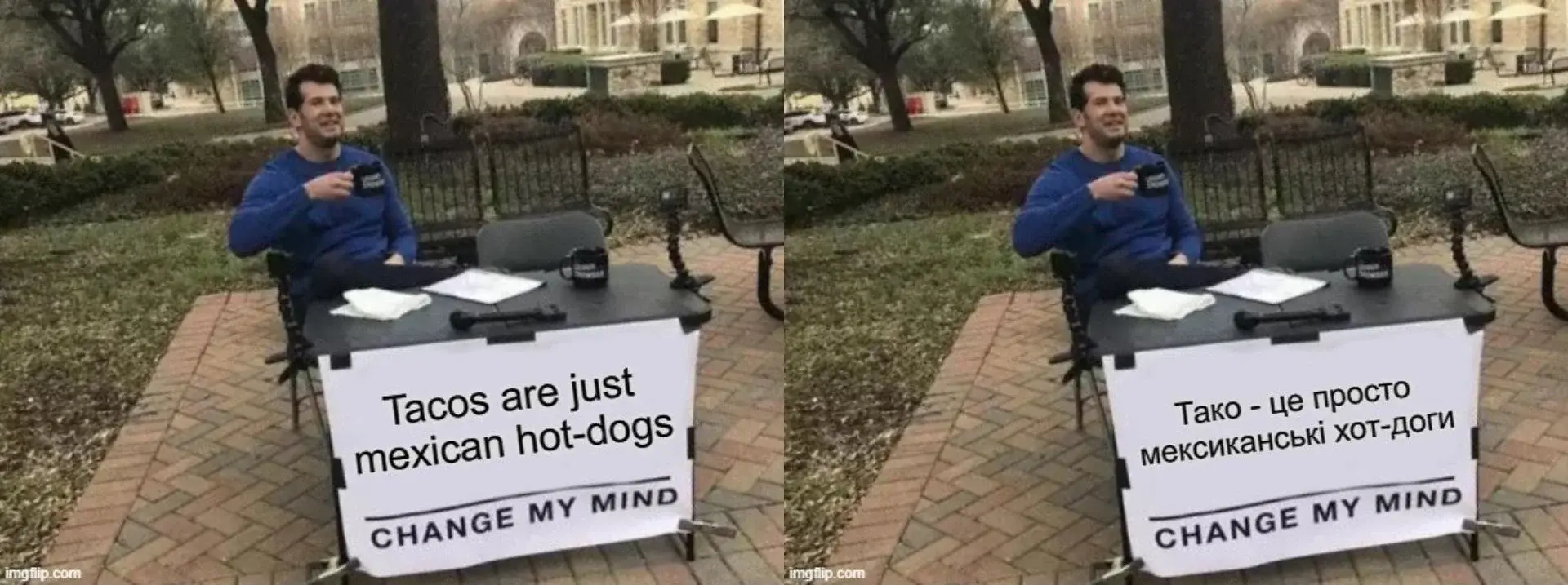 Is This a Pigeon? (это голубь?)