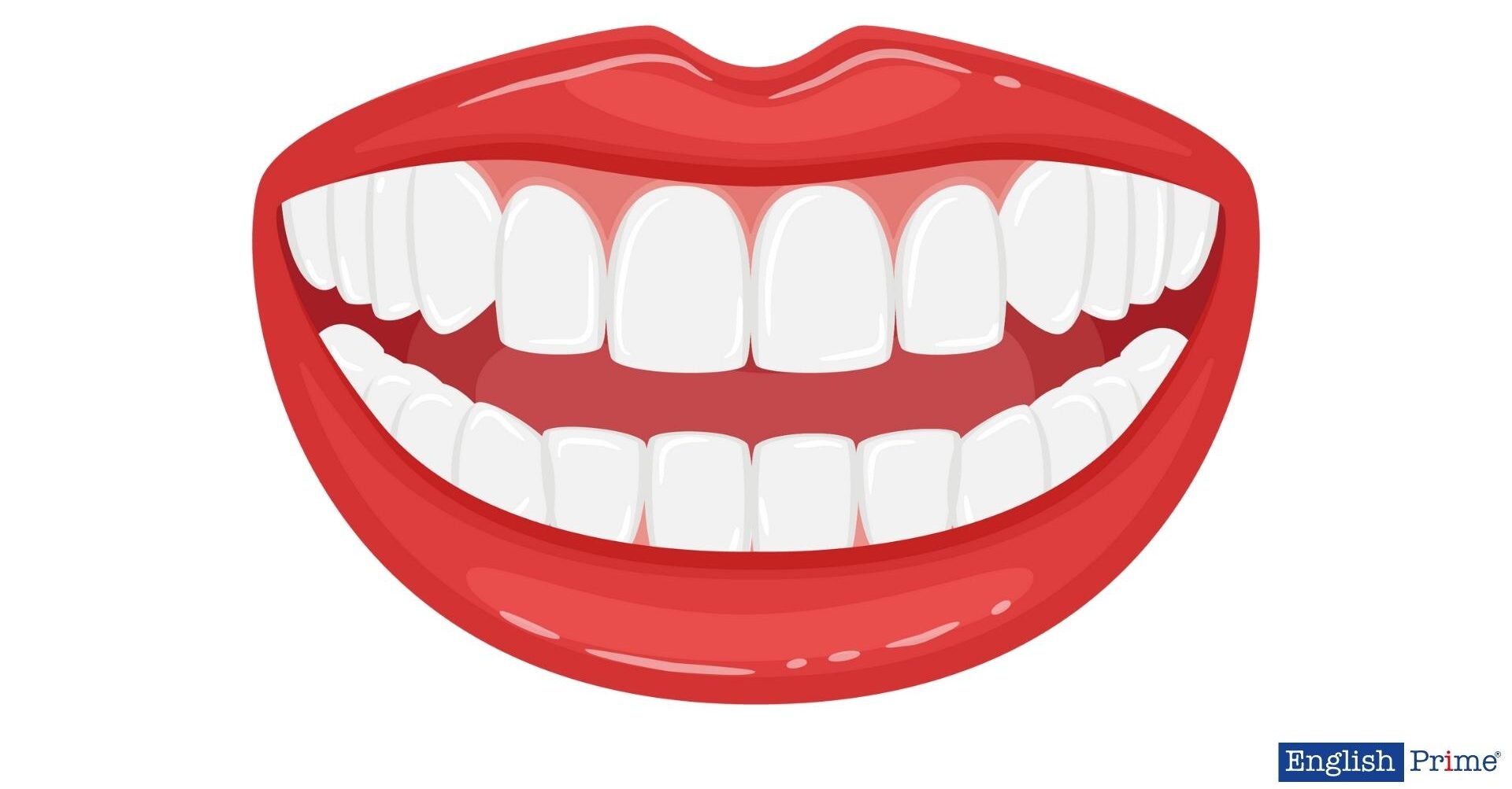 Рот – Mouth