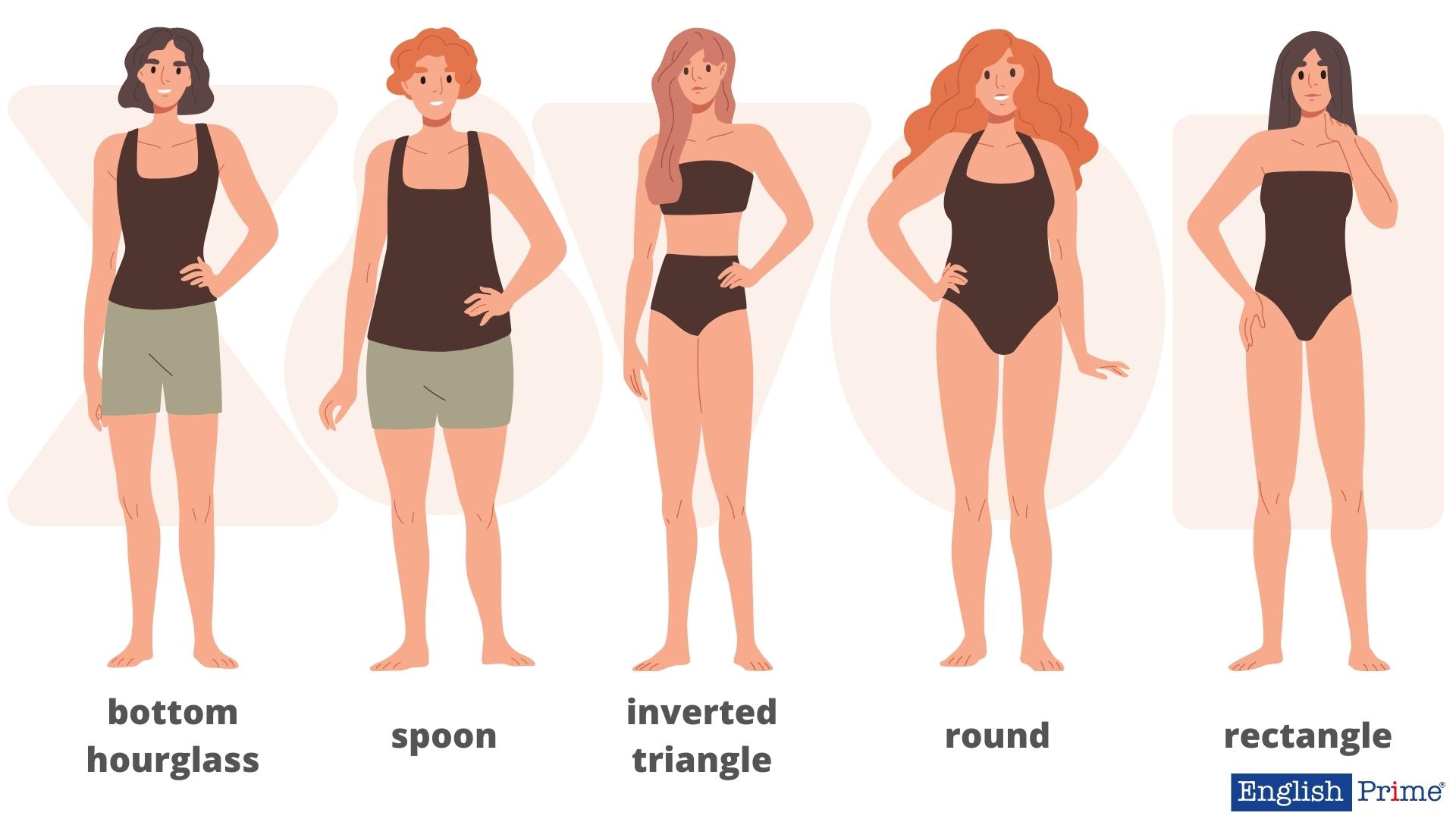 Формы тела – Body Shapes