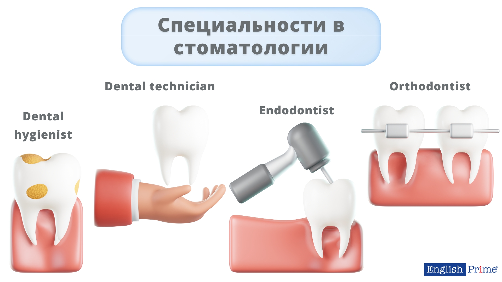 Типы стоматологов