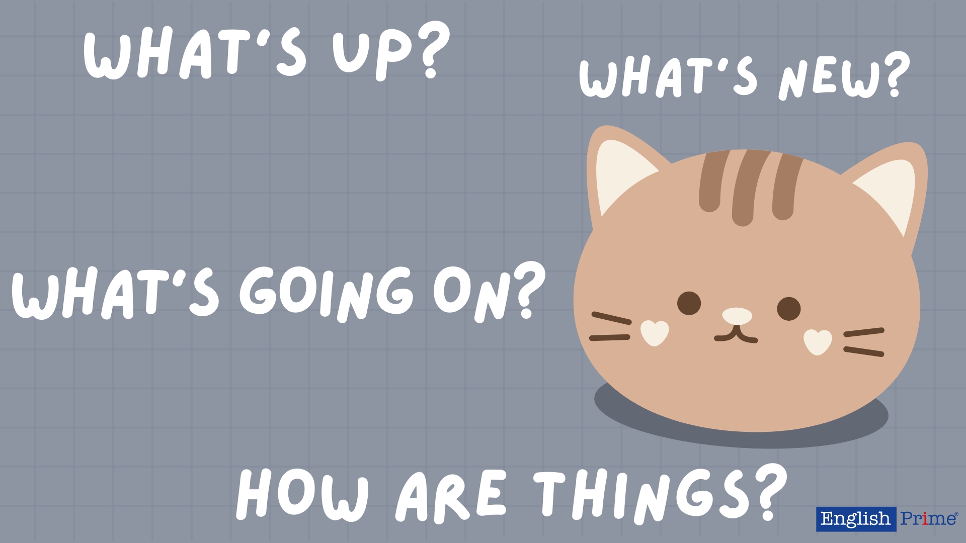 What’s up?